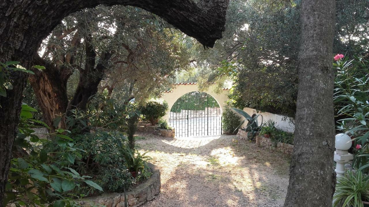 Daniela Apartment Makarska Cameră foto
